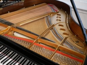 Steinway M 613727 8