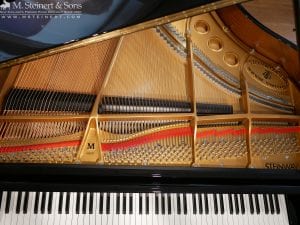 Steinway M 613727 9