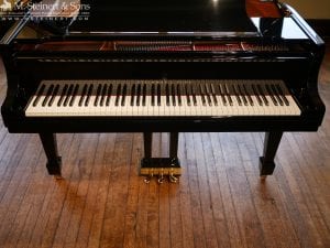 Steinway O 613629 5