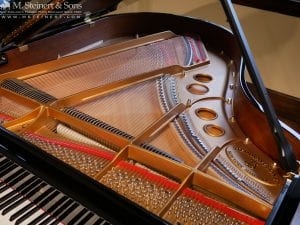 Steinway O 613629 8