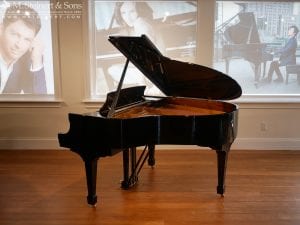 Steinway S 607829 3