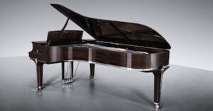Steinway's Black Diamond Model D