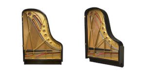 Photo of Model B's Wide-Tail design