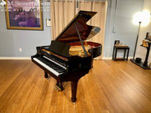 2018 Steinway Model B