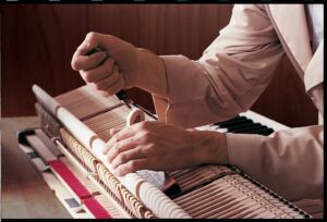 Steinway grand's action being put into place